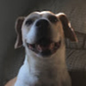 Meet your Posher, Ellery